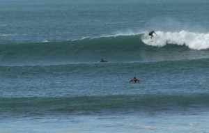 Blacksmiths surfer 4-4-6-11