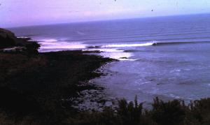 New Zealand Whale Bay