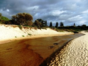 Redhead 1st Creek2 22-1-12