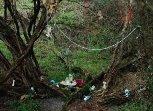 2nd-Creek-14-11-6-11-copy