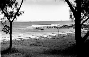 Arrawarra 1977