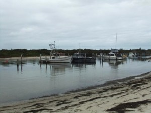 lack Neds Bay Swansea 30-6-11