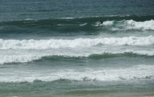 Blacksmiths surfer 27-09-11