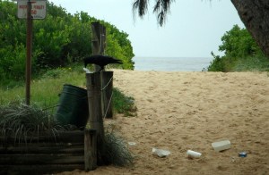 Blacksmiths Crow 05-03-12