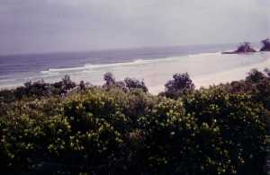 Byron Bay surf 1980