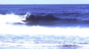 Crow surfing Boomerang 1978