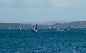 Moth Racing Lake Mac Jan 2011