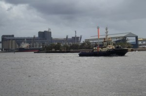 Newcastle Tug 14-6-11
