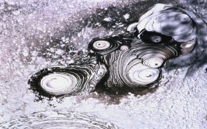 New Zealand Mud Bubbles