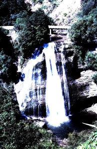 New Zealand Waterfall