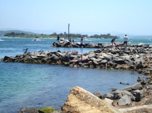 Pelican Fishing Jan2 2011