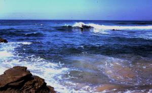 Peter Kuba cuts back Redhead 79