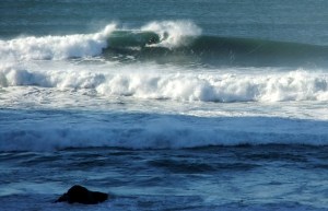 Redhead surfer13 4-6-11