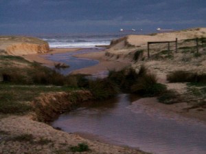 Redhead 2nd Creek 2007
