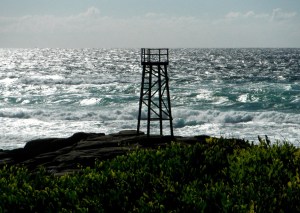 Redhead Shark Tower2 9-12-11