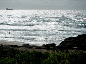 Redhead Beach 29-12-11