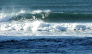 Redhead surfer9 4-6-11