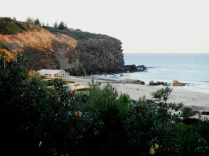 Redhead Beach 01-08-11