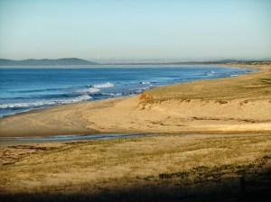 Redhead Beach 30-07-11