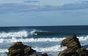 Redhead surfer May-2010