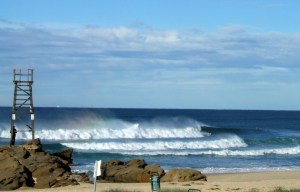 Redhead Shark Tower left May 2010