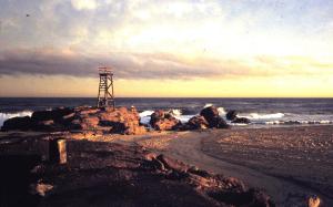 Redhead SharkTower 1986