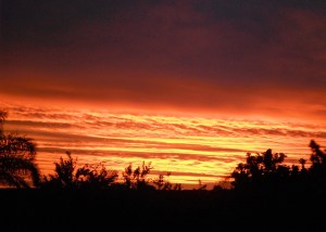 Redhead Sunset 10-01-12