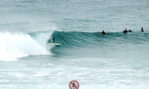 Redhead surfer 26-11-11