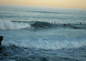 Redhead surfer 29-07-11