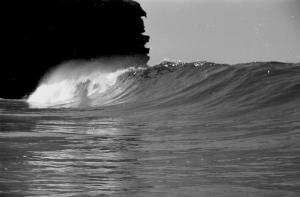 Redhead water shot 1976