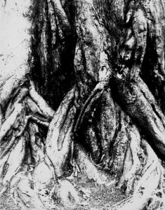 Tree Roots & imagination