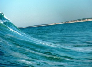 Wave Redhead 05-08-11