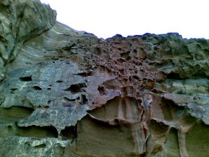Redhead Bluff face after rain July 2010