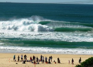 Redhead too big for Nippers 1 Oct 2010