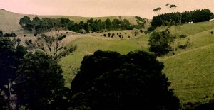 Sale Victoria countryside in watercolour