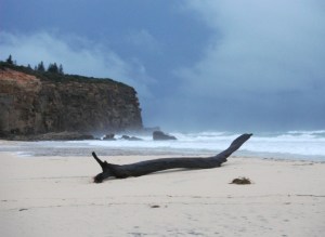 Redhead beach sea monster 20-04-13