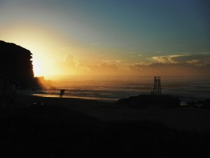 Redhead Beach tree 22-03-14