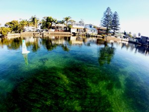 Black Neds Bay sea bed 05/07/2014