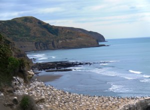 New Zealand coast 2014