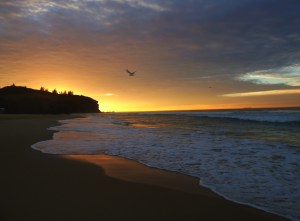 Redhead Beach Gold 23-06-14