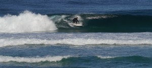 Redhead surfer 12-06-14