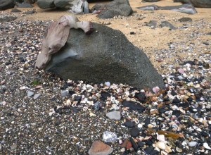 Bear Head Rock Redhead Bluff 20/10/2014