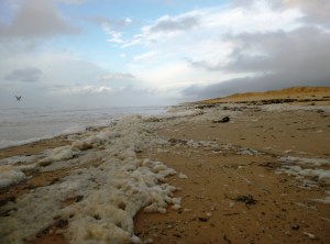 Redhead Beach after storm 22-04-15