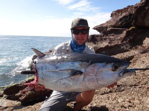 Sam and shark eaten Tuna