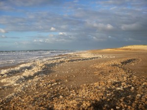 Foam on Redhead Beach 16-01-16