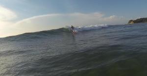 Crow on SUP April 2016