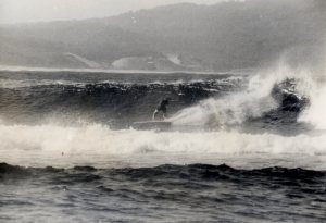 Don Howison Seal Rocks