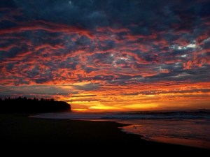 Redhead Beach fiery sunrise 11-07-16