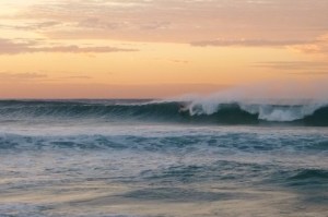 dhead kneeboarder 31-07-16