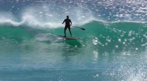 Crow on SUP Blacksmiths 02-11-16